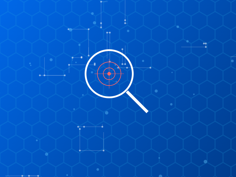 Vulnerability Management Vulnerability Management